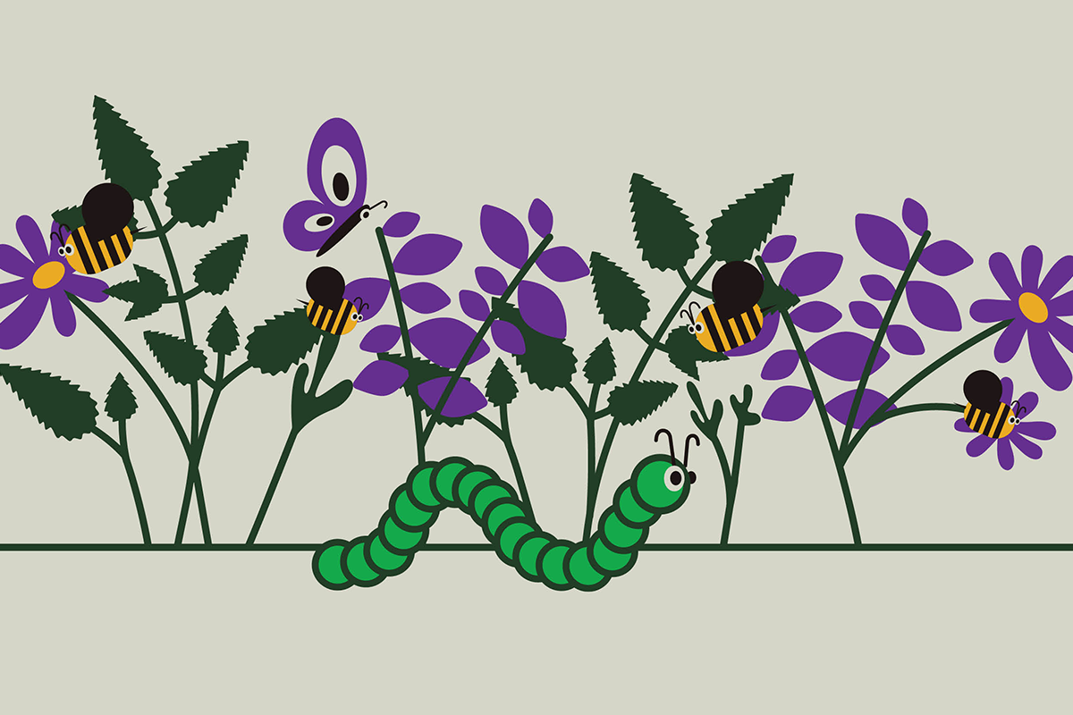 Urban Habitat slide 7